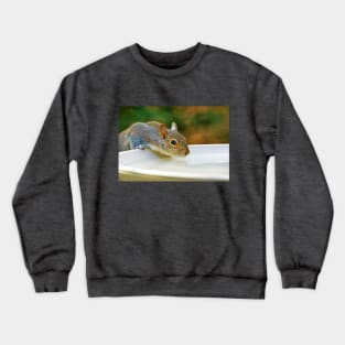 North American Ground Squirrel Crewneck Sweatshirt